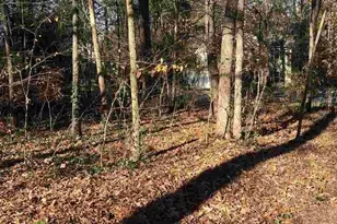 101 Willow Point Ct, Durham, NC 27703 - Photo 23