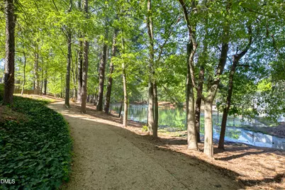 203 Halls Mill Drive, Cary, NC 27519 - Photo 61