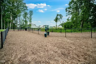 772 Shea Hill Drive, Angier, NC 27501 - Photo 43