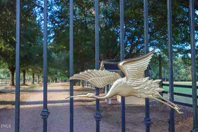 8218 Old Raleigh Road, Sims, NC 27880 - Photo 95