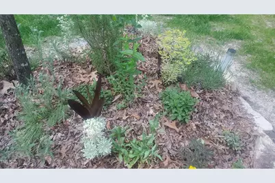 540 Patterson Drive, Chapel Hill, NC 27516 - Photo 61