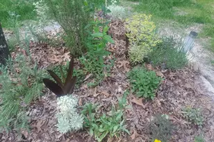 540 Patterson Dr, Chapel Hill, NC 27516 - Photo 61