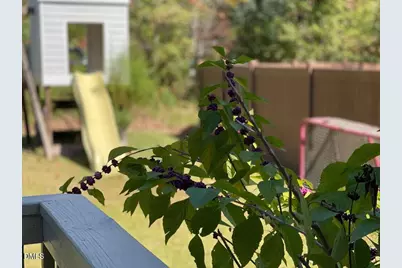 562 Beacon Ridge Boulevard, Chapel Hill, NC 27516 - Photo 43