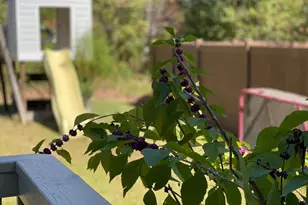 562 Beacon Ridge Blvd, Chapel Hill, NC 27516 - Photo 43