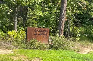 1017 Fortune Ln, Mebane, NC 27302 - Photo 79