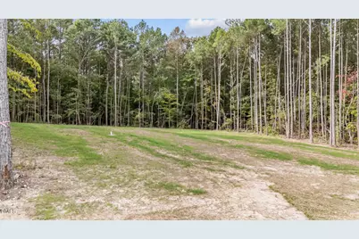 327 Little Lady Trail, Zebulon, NC 27597 - Photo 11