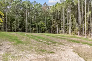 327 Little Lady Trl, Zebulon, NC 27597 - Photo 11