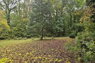 319 Davis Rd, Hillsborough, NC 27278 - Photo 17