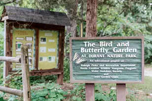 4820 Gossamer Ln, Raleigh, NC 27616 - Photo 47