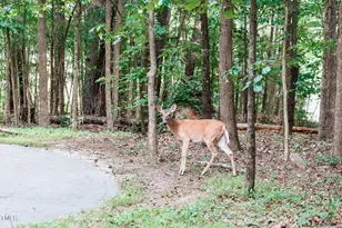 4820 Gossamer Ln, Raleigh, NC 27616 - Photo 45