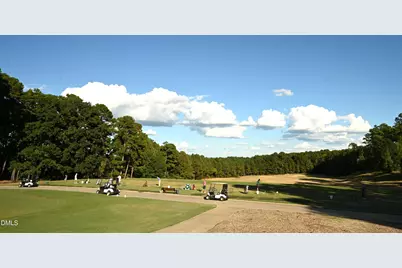 745 The Preserve Trail, Chapel Hill, NC 27517 - Photo 97