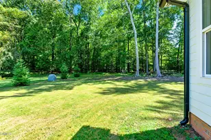 716 Spirit Hl Rd, Hillsborough, NC 27278 - Photo 61