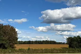 5549 River Buck Rd, Spring Hope, NC 27882 - Photo 3