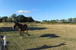 13619 US Hwy 258, Scotland Neck, NC 27874 - Photo 71