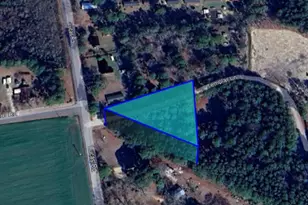 0 Pine Lake Lot #38 Estates, Roseboro, NC 28382 - Photo 1