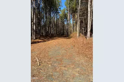 7409 Guess Road, Hillsborough, NC 27278 - Photo 3