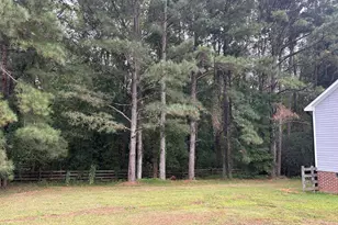 387 N Pleasant Coates Rd, Benson, NC 27504 - Photo 37