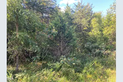 Lots 11-14 Lenore Drive, Burlington, NC 27217 - Photo 17