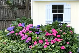 10209 River Bank Dr, Raleigh, NC 27614 - Photo 35