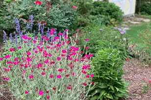 10209 River Bank Dr, Raleigh, NC 27614 - Photo 33