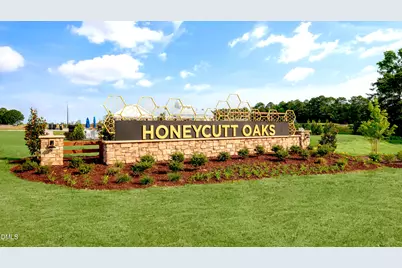 93 Stone Apiary Drive, Angier, NC 27501 - Photo 39