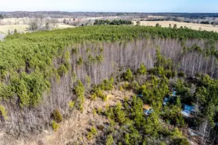 1100 Ben Smith Road Rd, Siler City, NC 27344 - Photo 45