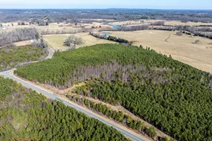 1100 Ben Smith Road Rd, Siler City, NC 27344 - Photo 41