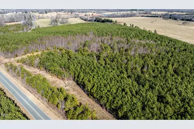 1100 Ben Smith Road Road, Siler City, NC 27344 - Photo 39