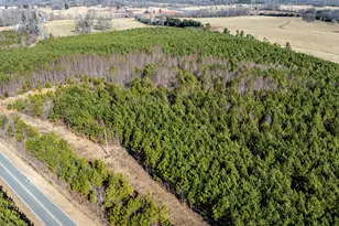 1100 Ben Smith Road Rd, Siler City, NC 27344 - Photo 39