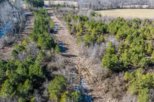 1100 Ben Smith Road Rd, Siler City, NC 27344 - Photo 53