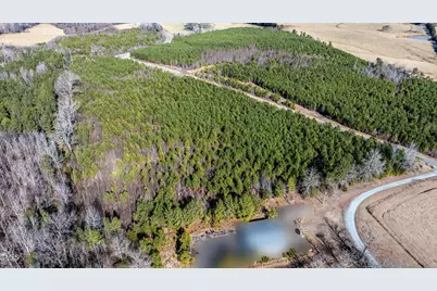 1100 Ben Smith Road Road, Siler City, NC 27344 - Photo 47