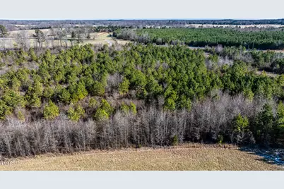 1100 Ben Smith Road Road, Siler City, NC 27344 - Photo 55