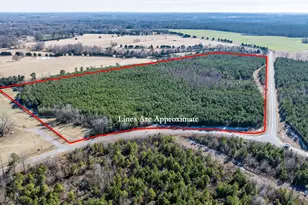 1100 Ben Smith Road Rd, Siler City, NC 27344 - Photo 5