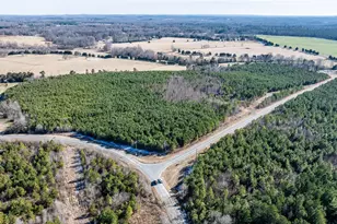 1100 Ben Smith Road Rd, Siler City, NC 27344 - Photo 43