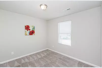 1253 Fescue Road, Rocky Mount, NC 27801 - Photo 9