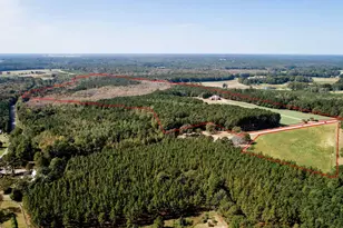 311 Lassiter Rd, Four Oaks, NC 27524 - Photo 53