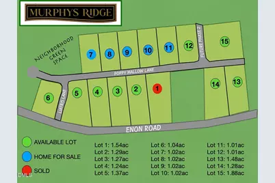 4453 Poppy Mallow Lane, Stem, NC 27581 - Photo 11