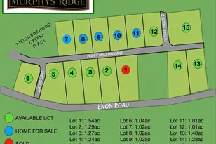 4455 Poppy Mallow Ln, Stem, NC 27581 - Photo 9