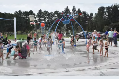 110 Southern Estates Drive, Sanford, NC 27330 - Photo 35