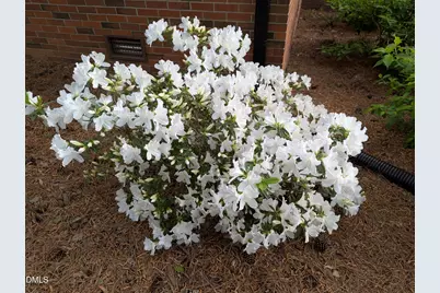 215 E Branch Street E, Spring Hope, NC 27882 - Photo 53