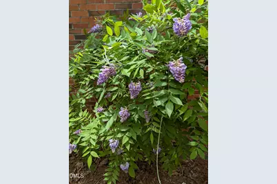 215 E Branch Street E, Spring Hope, NC 27882 - Photo 57