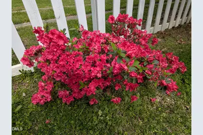 215 E Branch Street E, Spring Hope, NC 27882 - Photo 45