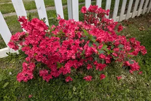 215 E Branch Street E, Spring Hope, NC 27882 - Photo 45