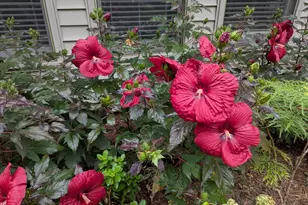 215 E Branch Street E, Spring Hope, NC 27882 - Photo 7