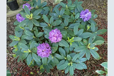 215 E Branch Street E, Spring Hope, NC 27882 - Photo 47