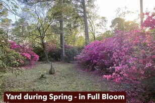 562 Elevation Rd, Four Oaks, NC 27524 - Photo 39