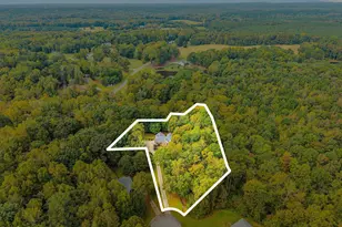 1080 Wild Briar Ln, Stem, NC 27581 - Photo 47