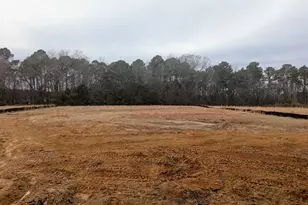 223 Shiloh Woods Circle, Smithfield, NC 27577 - Photo 7