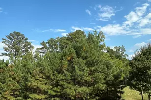 6307 Pesta Ct, Raleigh, NC 27612 - Photo 19