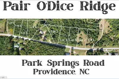 Lot 5 Park Springs Road, Providence, NC 27315 - Photo 7